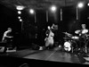 Hard Swing Mango - 