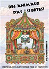 Les animaux pas si bêtes - 