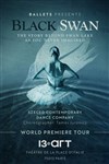 Black Swann - 