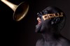 Christophe Schweizer "Moonsun" quintet featuring Dave Binney & Dan Weiss - 