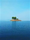 L'île des jamais trop tard - 
