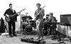 Organ Crumble - 