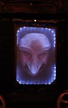 Le cirque orphelin - 