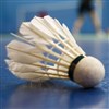 Cours badminton jeunes 8-16 ans - 