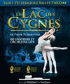 Le lac des cygnes - 