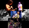 Mediterranea Live Band - 