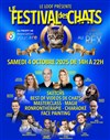 Le Festival des chats - 