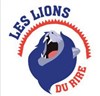 Castings humoristes Lions du rire - 