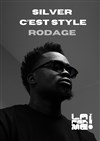 Silver dans C'est stylée | en rodage - 