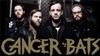 Cancer bats - 