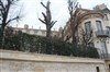 Balade littéraire sur l'île Saint-Louis | par Natalina Castagna - 