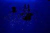 Lost in Ballets russes | Lara Barsacq - 