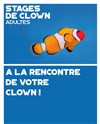 Stages Clown Adultes - 