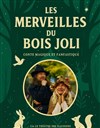 Les Merveilles du Bois Joli - 
