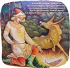 Le petit cheval bossu - 