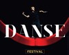 Spectacle au Château Royal de Blois - 