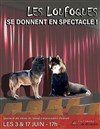 Les Loufoques se donnent en spectacle -