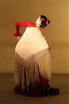 Flamenco : El camino se hace al bailar - 