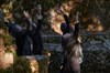 Faux Jours - 