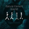 Natural Element Quartet - 