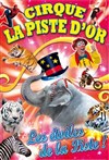 Le Cirque La Piste d'Or dans Les étoiles de la piste | - Labouheyre - 