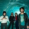 Gush + Blue Box - 