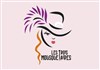 Les Trois Mousquetaires, la presque histoire ! - 