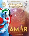 Le Cirque Amar présente sa nouvelle création : Maestria - 