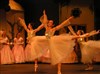Les valses de vienne - 