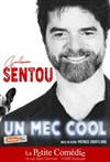 Guillaume Sentou dans Un mec cool - 