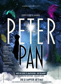 Image de Peter Pan à les enfants du paradis - salle 1 - paris 9eme