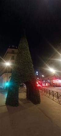 Vignette marchand