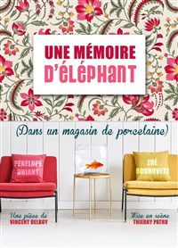 Une mémoire d'éléphant (dans un magasin de porcelaine)