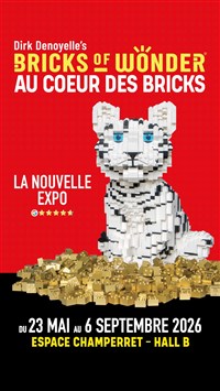 Bricks of Wonder - Au coeur des Bricks
