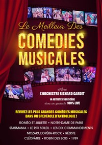 Le meilleur des comedies musicales