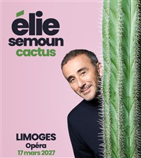 Elie Semoun dans Cactus