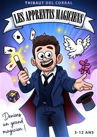Les Apprentis Magiciens