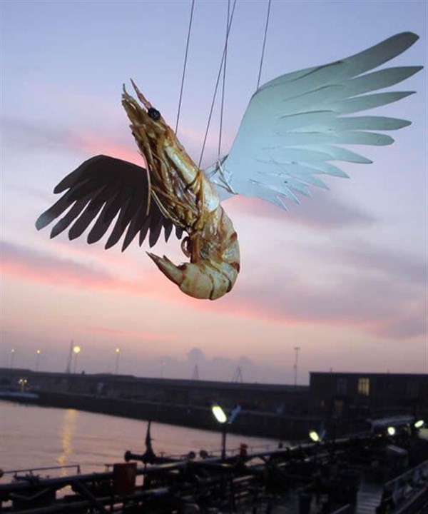 Histoires de crevettes