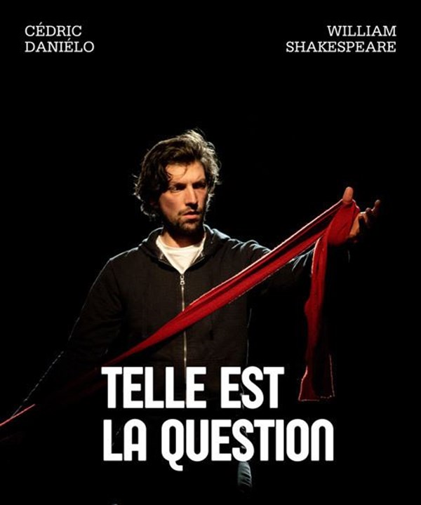Telle est la question