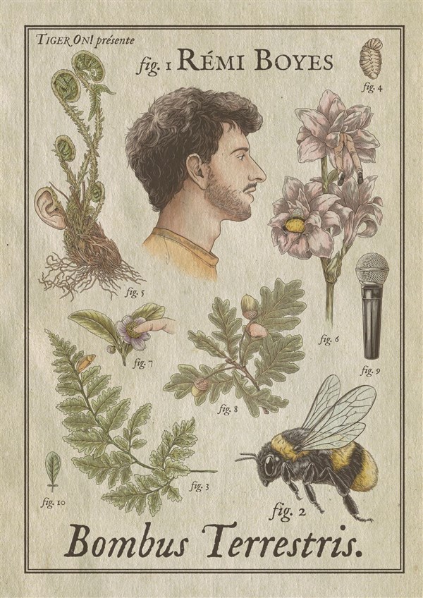 Rémi Boyes - Bombus Terrestris - Tournée