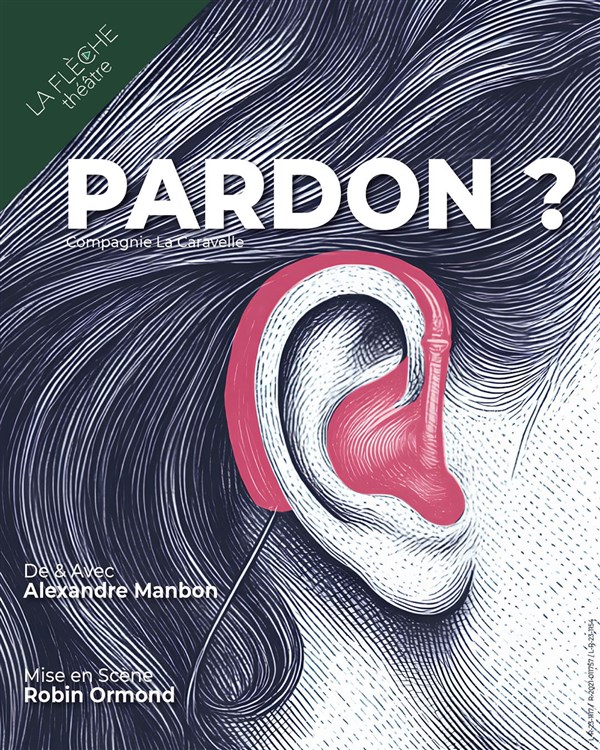 Alexandre Manbon dans Pardon ?