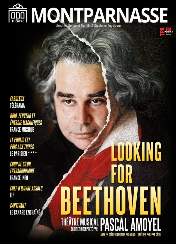 Looking for Beethoven