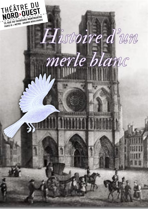 Histoire d'un merle blanc