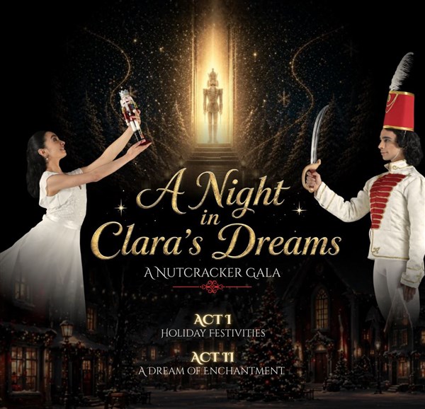 A Night in Clara's Dreams