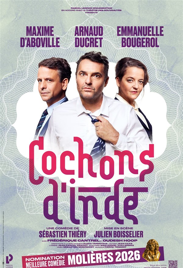 Cochons d'Inde