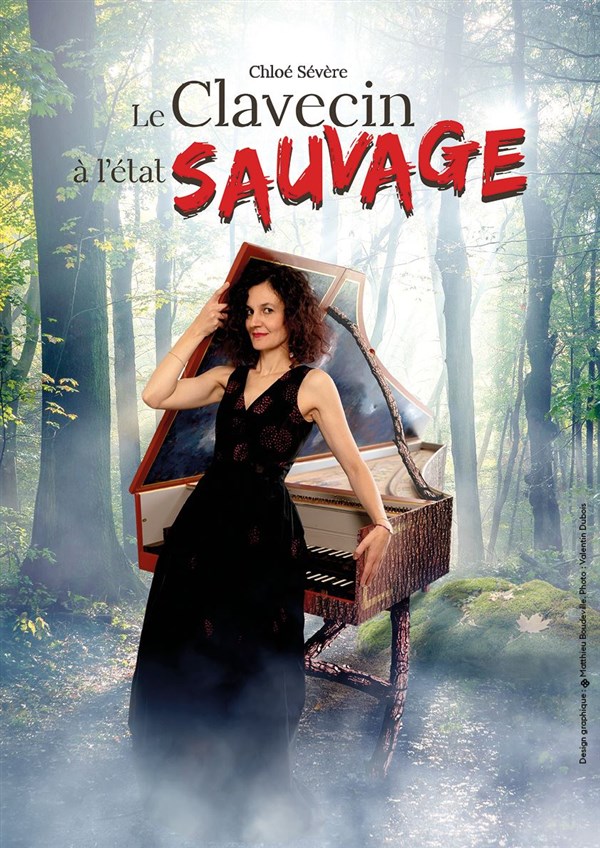 Clavecin à l'état sauvage