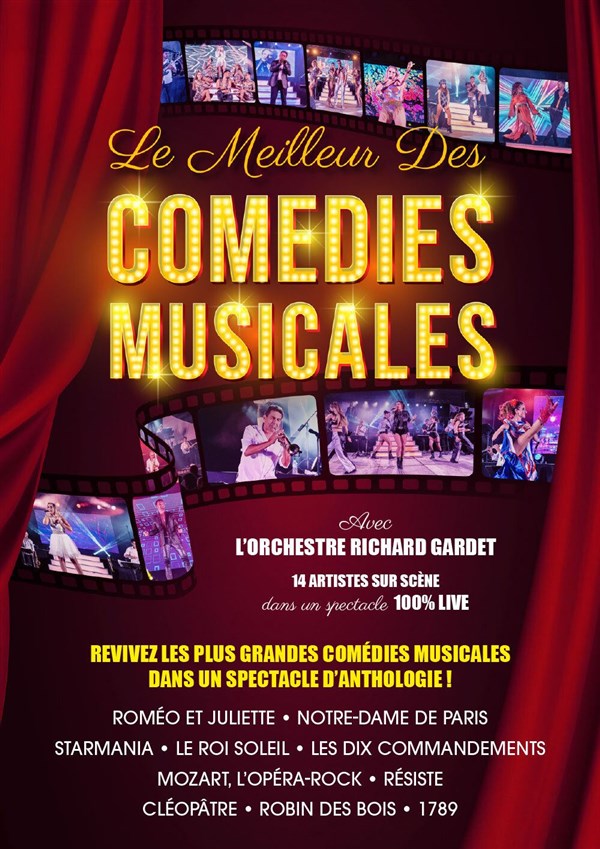 Le meilleur des comedies musicales