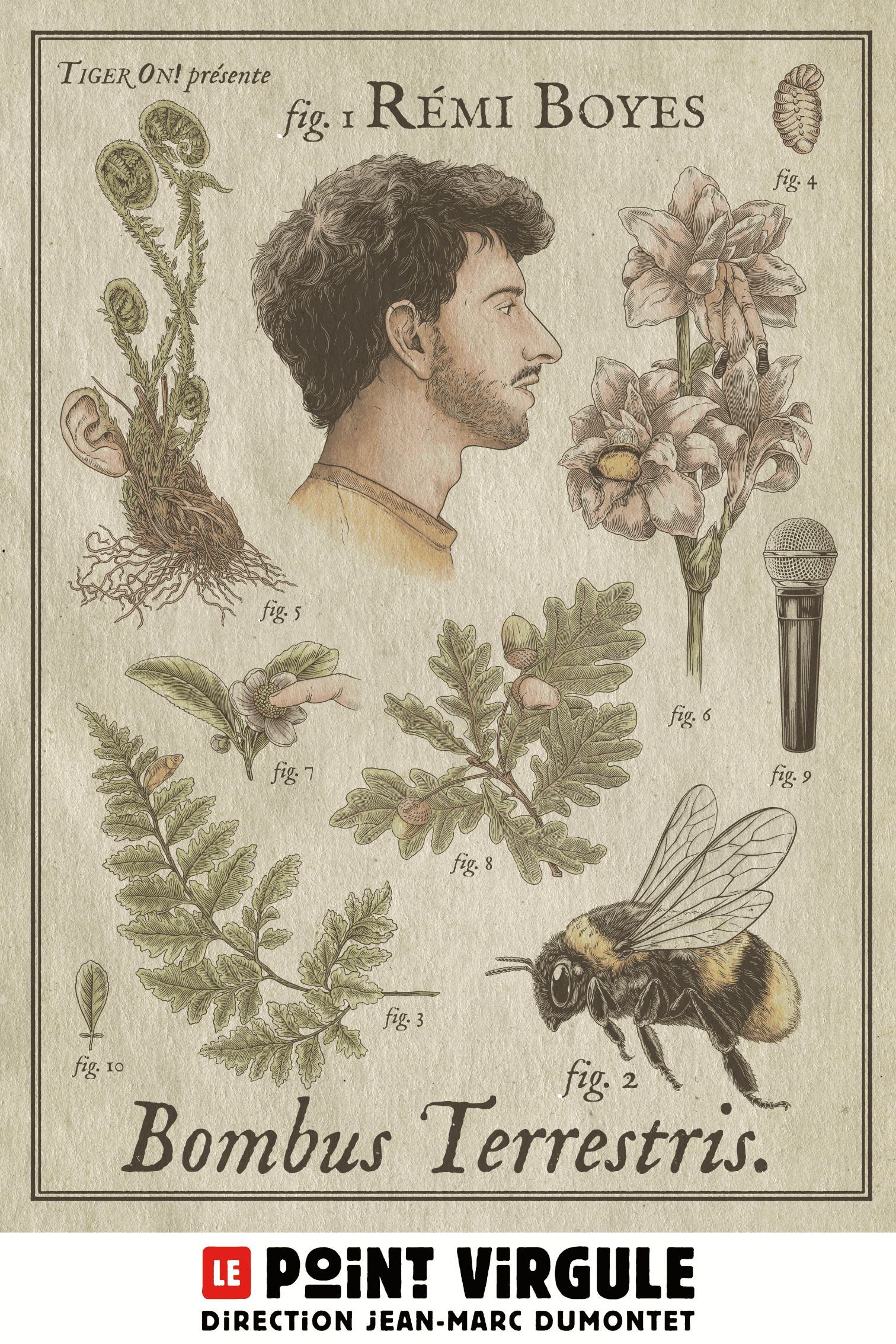 Rémi Boyes