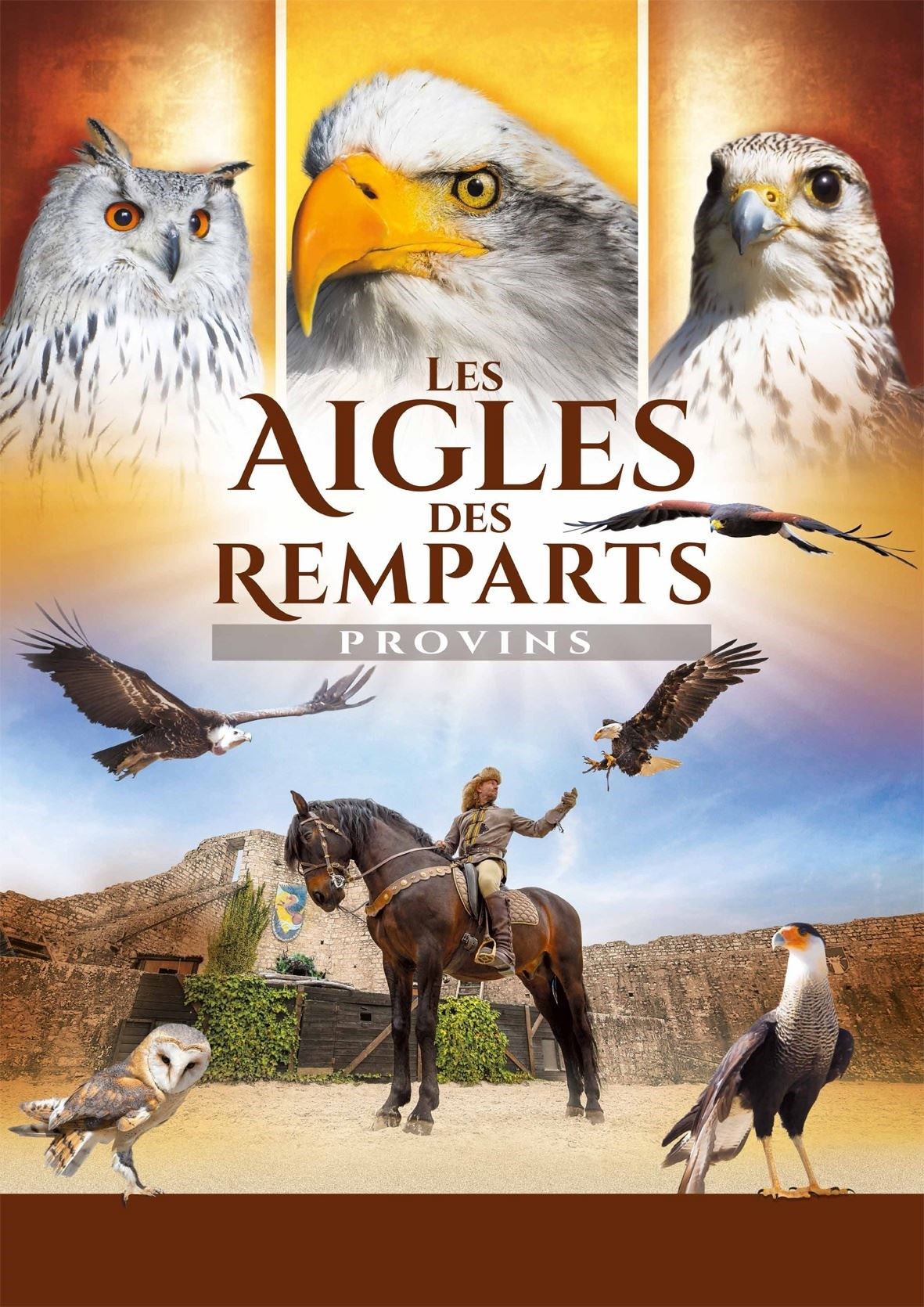 Les Aigles des Remparts - Fauconnerie Equestre