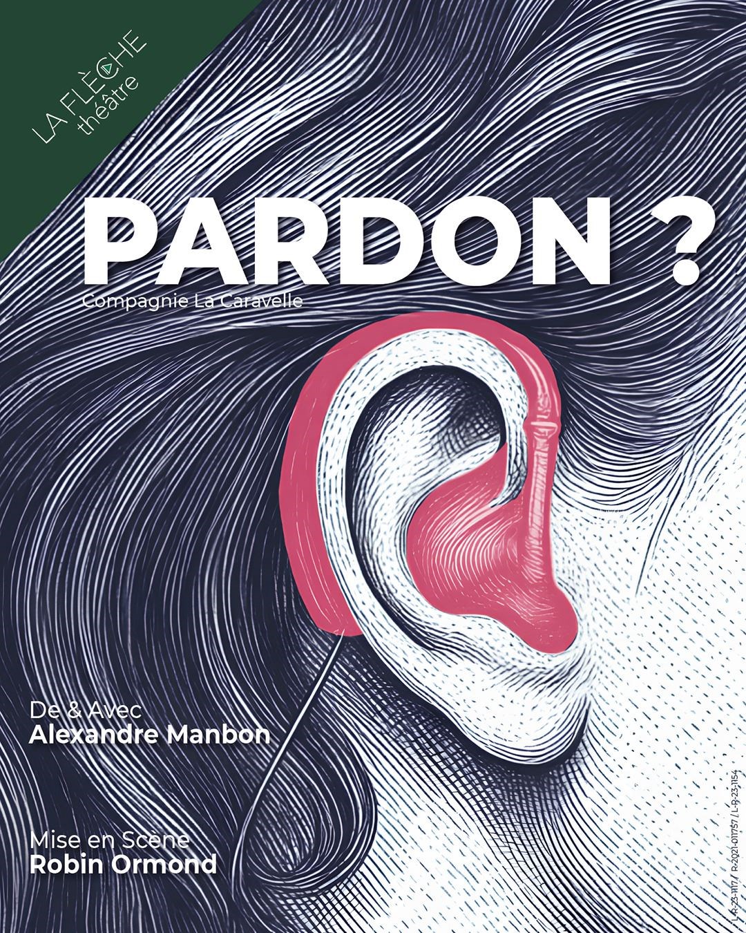 Alexandre Manbon dans Pardon ?